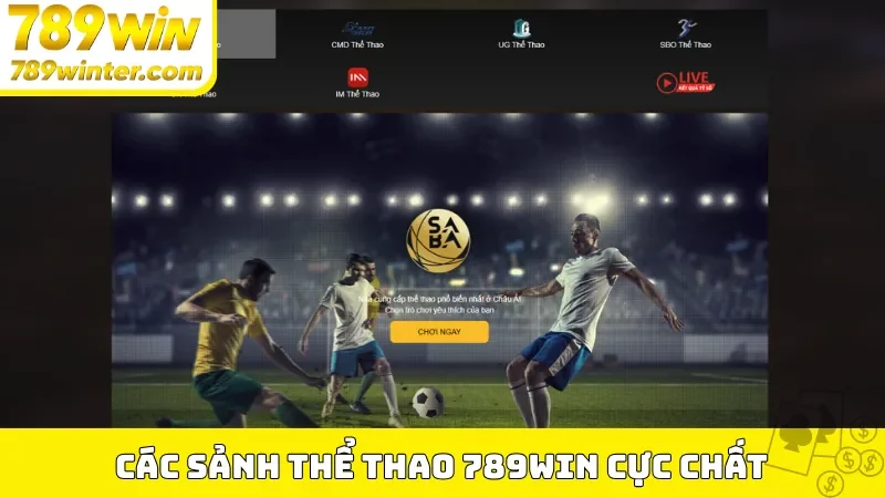 Các sảnh thể thao 789Win cực chất
