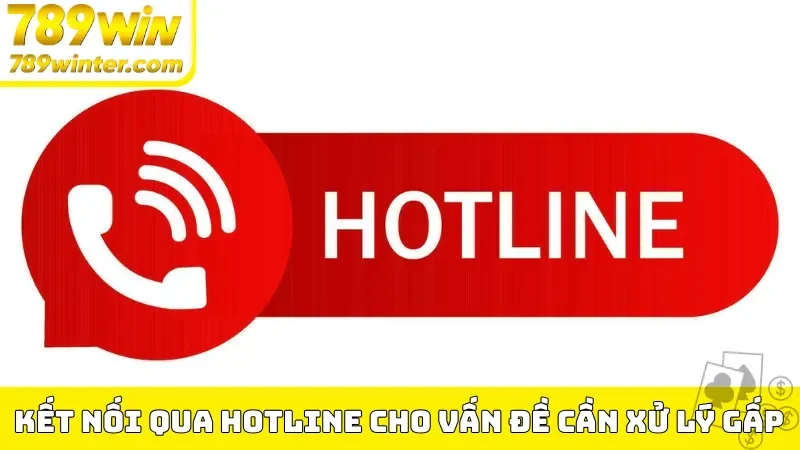 Kết nối qua Hotline cho vấn đề cần xử lý gấp